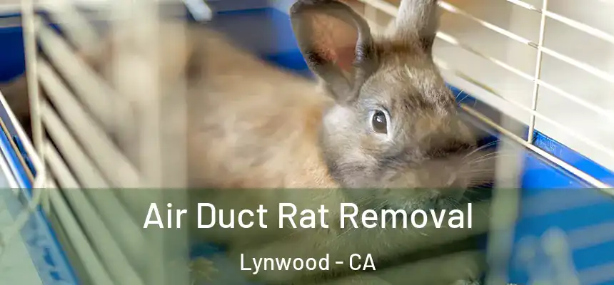  Air Duct Rat Removal Lynwood - CA