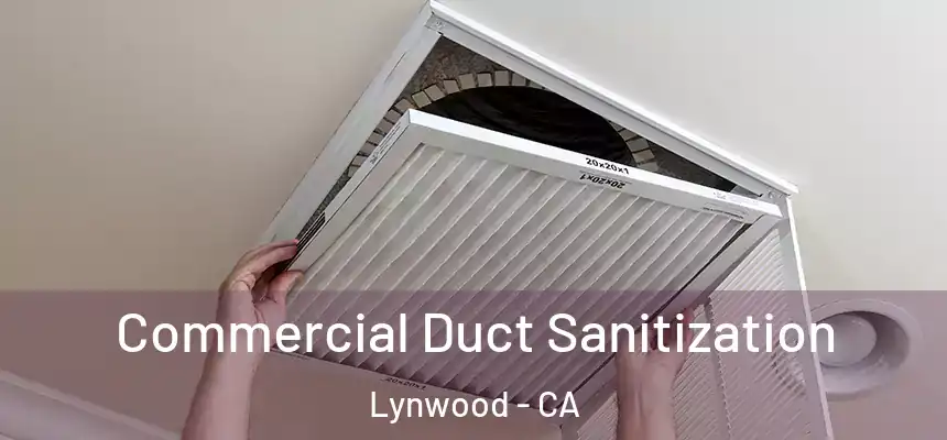 Commercial Duct Sanitization Lynwood - CA