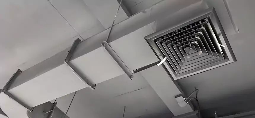 Restorative Allergy Relief Vent Cleaning – Coil, Blower & Housing Detail in Lynwood