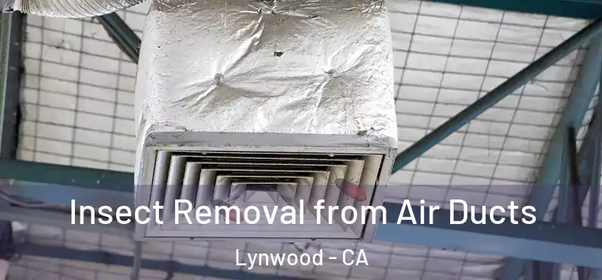 Insect Removal from Air Ducts Lynwood - CA