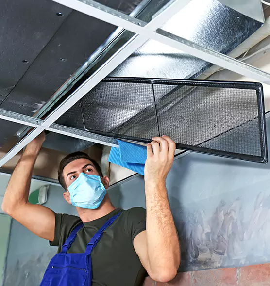 About Air Duct Bacteria Removal in Lynwood