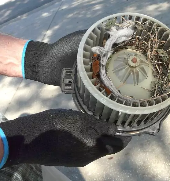 About Air Duct Mice Removal in Lynwood, CA