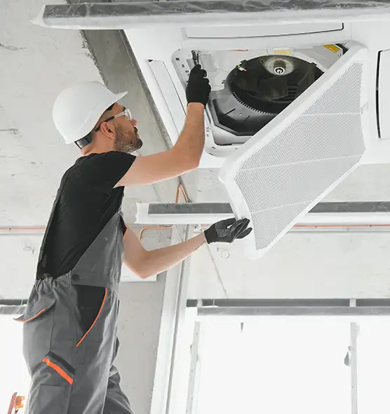 About Air Duct Rodent Removal in Lynwood, CA