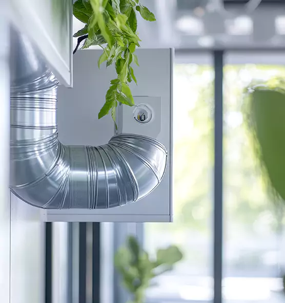 Professional Eco-Safe Dryer Vent Cleaning in Lynwood, CA