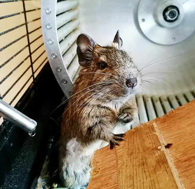 Why Homeowners & Businesses Trust Us Lynwood, CA