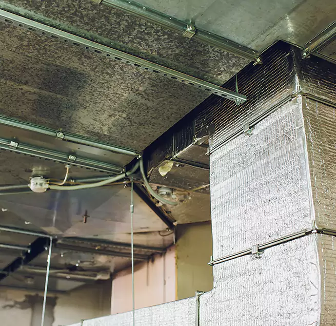 Why Homeowners & Businesses Trust Us in Lynwood, CA?